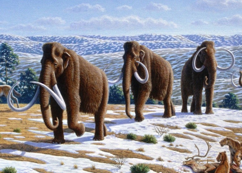 7000至5万年前地球上的巨型食草动物的消失与全球草原火灾急剧增加有密切关系