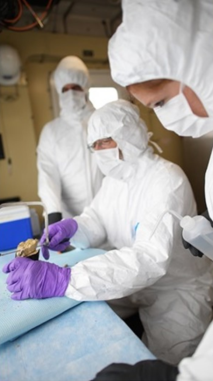 美国加州3千米深海发现哥伦比亚长毛象牙