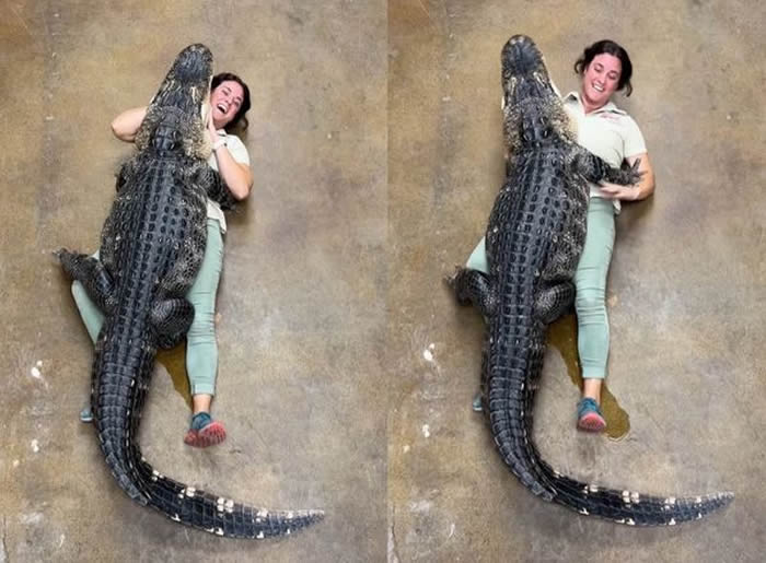 ǷȪȵද԰113ſŮԱ