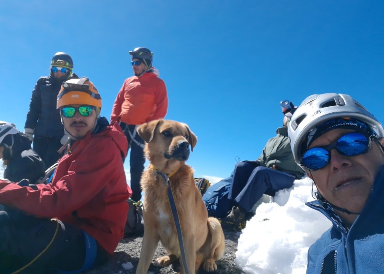 ī����Τ����³˹��һֻ���������ɽ������˯��ɽ��������һ���� ������������