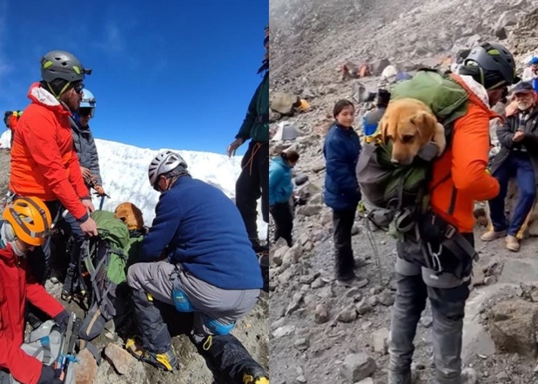 ī����Τ����³˹��һֻ���������ɽ������˯��ɽ��������һ���� ������������