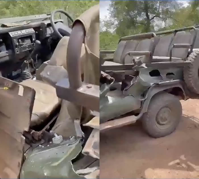 南非一群女学生游克鲁格大公园遇发情公象遭恐怖“车震”