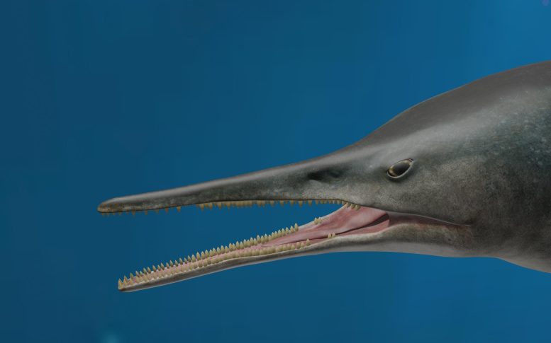 ���ױ��Ƿ���1.3����ǰ�ĺ������ж��������Kyhytysuka