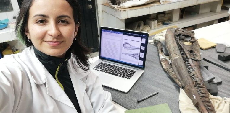 ���ױ��Ƿ���1.3����ǰ�ĺ������ж��������Kyhytysuka