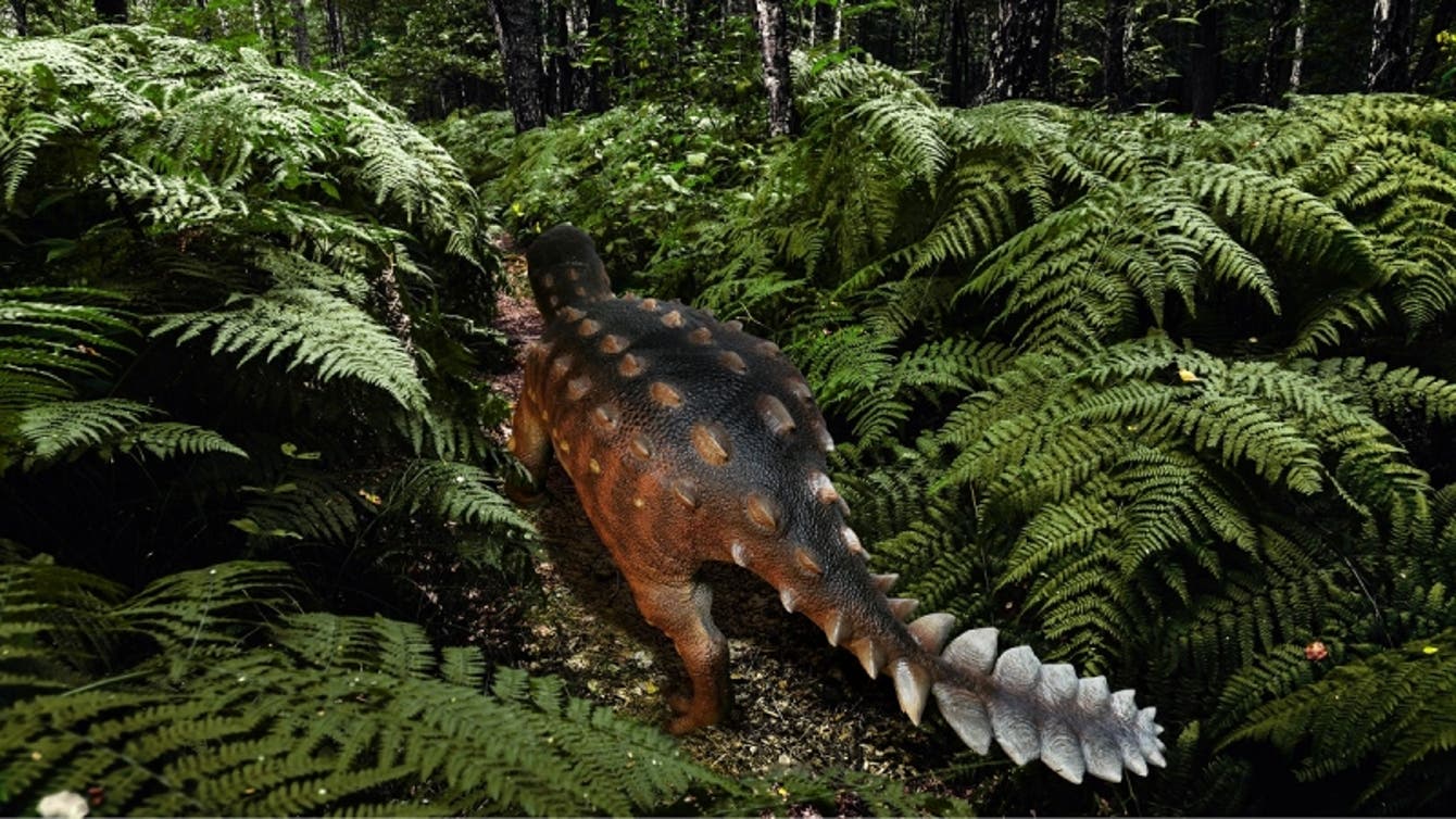 智利发现生活在7000多万年前白垩纪晚期的恐龙新物种 尾巴独特且攻击力强