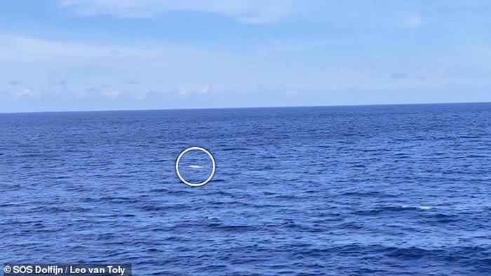 9���߳�����ϡ�еİ�ɫĨ�㾨��������Ӻ���