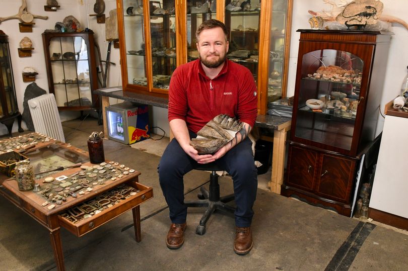 英国男子旅游发现距今2亿年前侏罗纪时期的“切齿鱼龙”化石