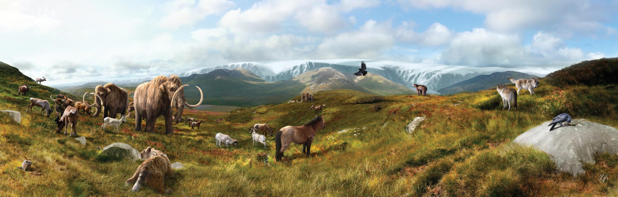 《Nature Communications》:猛犸象等巨型动物的生存时间比人们相信的要长几千年