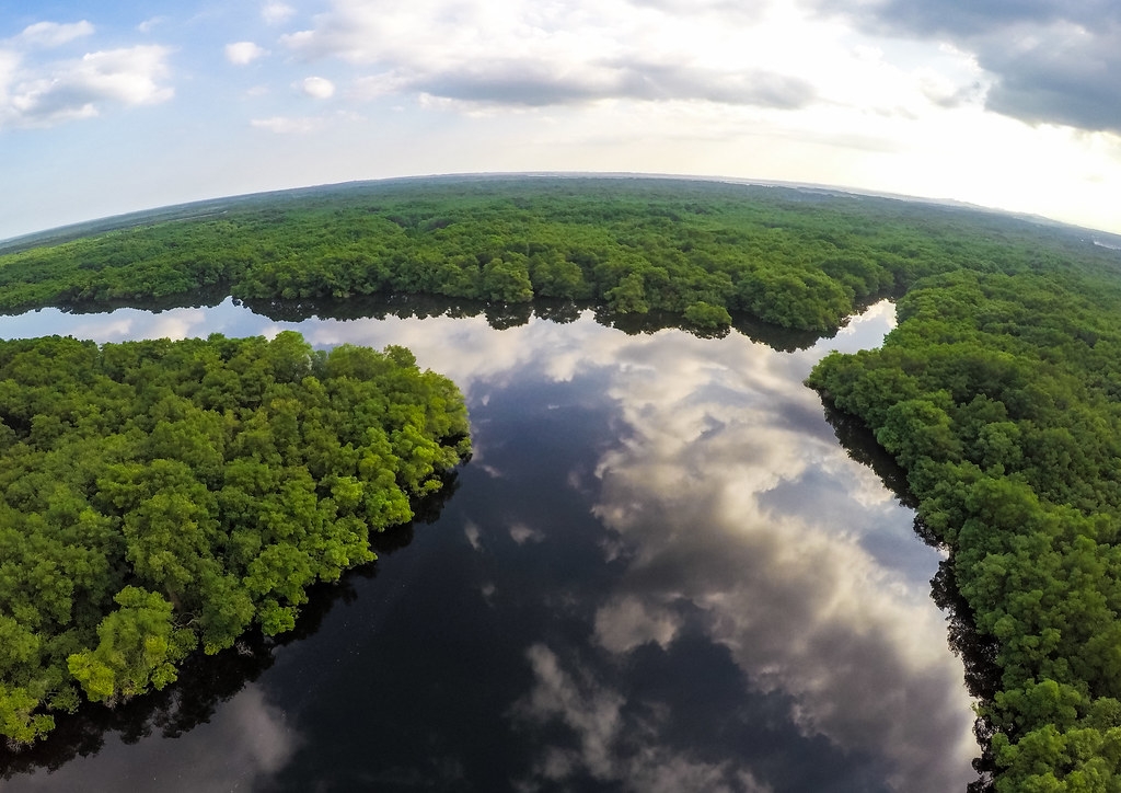 о֣϶ȴпɵʯͣԼһΪݴҵȼϡƬԴMinistry of Environment, EcuadorCC BY-NC