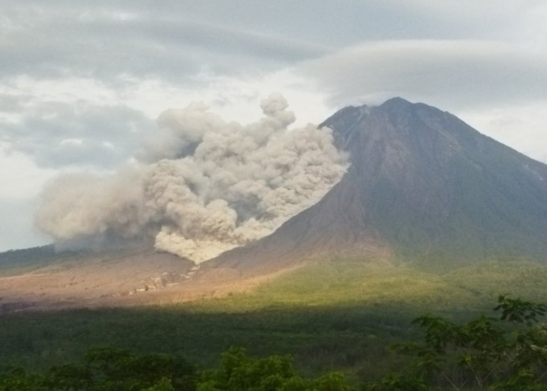 ӡ�ᶫצ��ʡ��÷³��ɽ�緢 ��ɽ������2000�׸߿�
