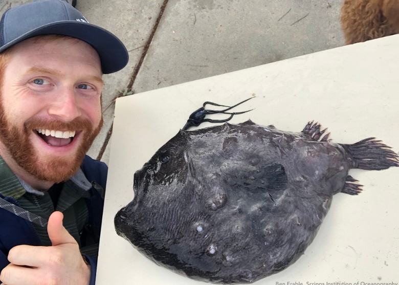 �������ݺ�̲�Ϸ��ֺ����c�K��