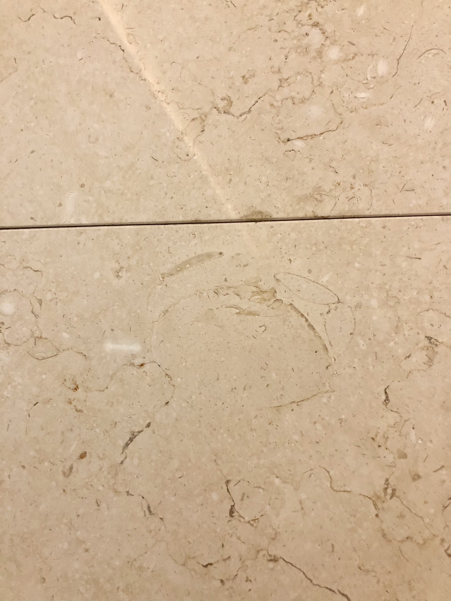 ձʯ߾վʱ5000ʷзʯ