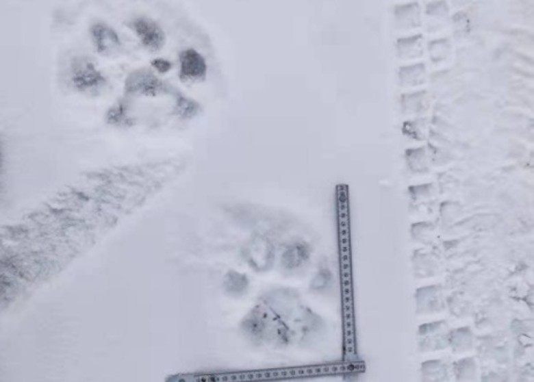 Ұ�������������ɽһ�š����ٴ���ɽ ����������Ķ����������ҹ�԰