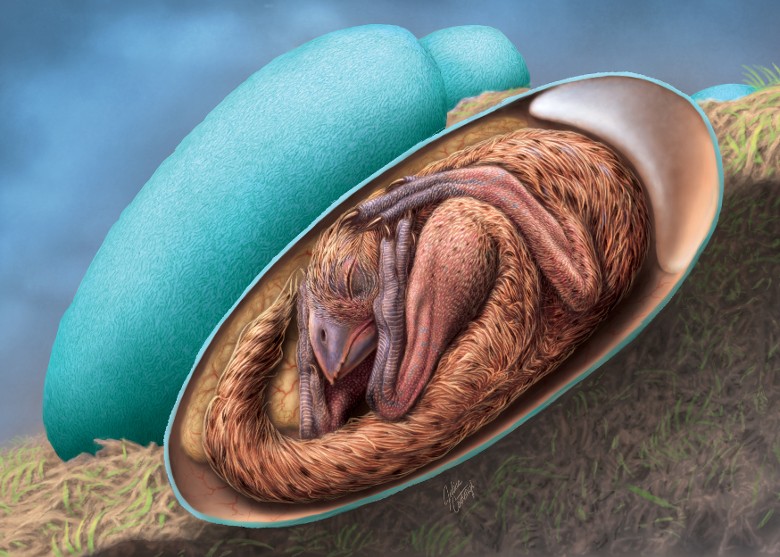 ʯо͵ִ̥׼ƿǶһǰ᲻ƶı