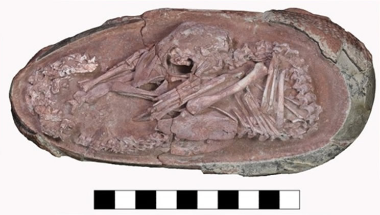 ʯо͵ִ̥׼ƿǶһǰ᲻ƶı