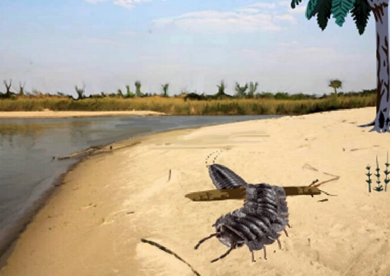 英国诺森伯兰郡海滩出土有史以来最巨型的千足虫化石 长至少2.5米重达50公斤