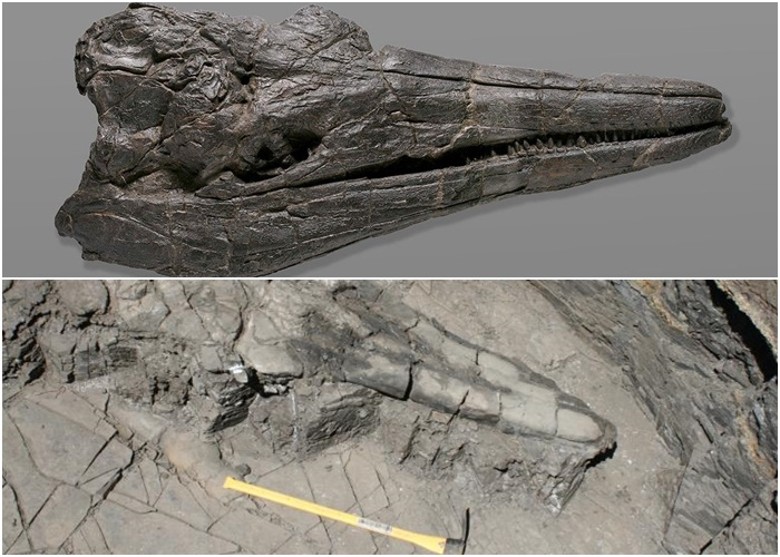 ڻݰ¹˹ɽ2.46ǰ͡³ķ׵ʯ