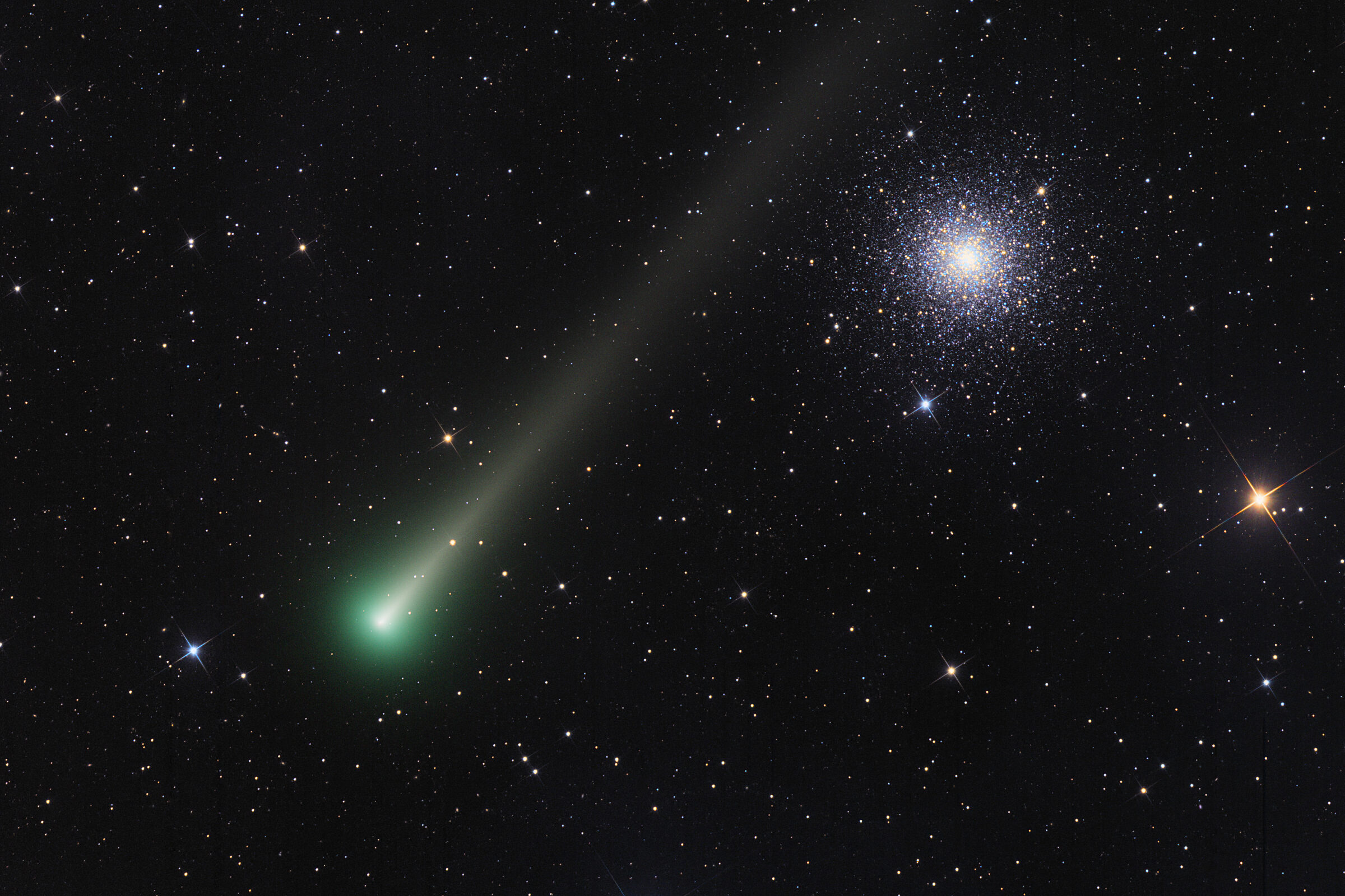 202213C/2021 A1 (Leonard)ǹյ