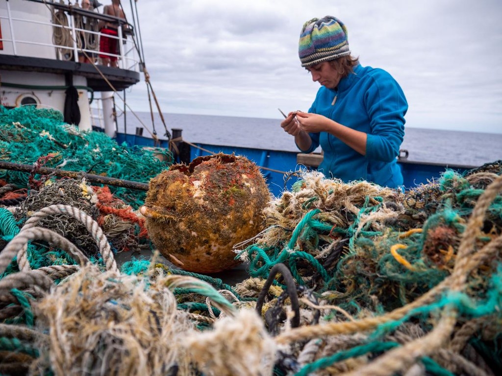 研究发现，大量海洋塑料垃圾已成为海岸生物的人工栖息地，并随洋流漂流到任何地方。照片来源：Ocean Voyages Institute 2020 Gyre Ex