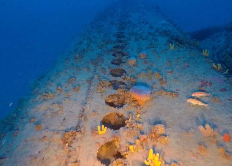 希腊潜水员在麦卡诺斯岛海底发现二战期间被英军击沉的意大利海军潜艇詹提纳号