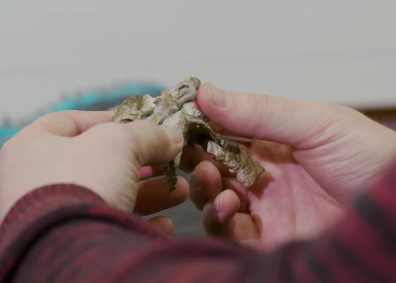 �о���Ա��¼������Ʒ�ֿ�����ʯ��