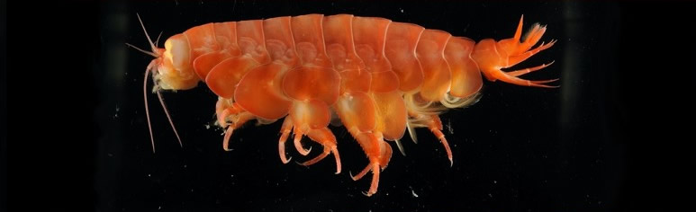 ����ද��ռ������·���Ʒ�ֳ���һ�롣