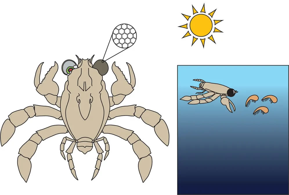 ѧҴ9500ǰԻħзʯзֹз۵ĸ