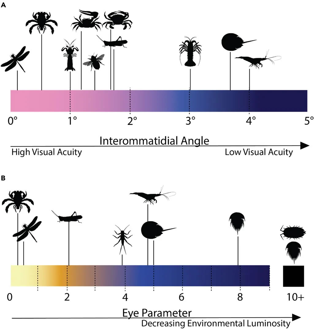 ѧҴ9500ǰԻħзʯзֹз۵ĸ