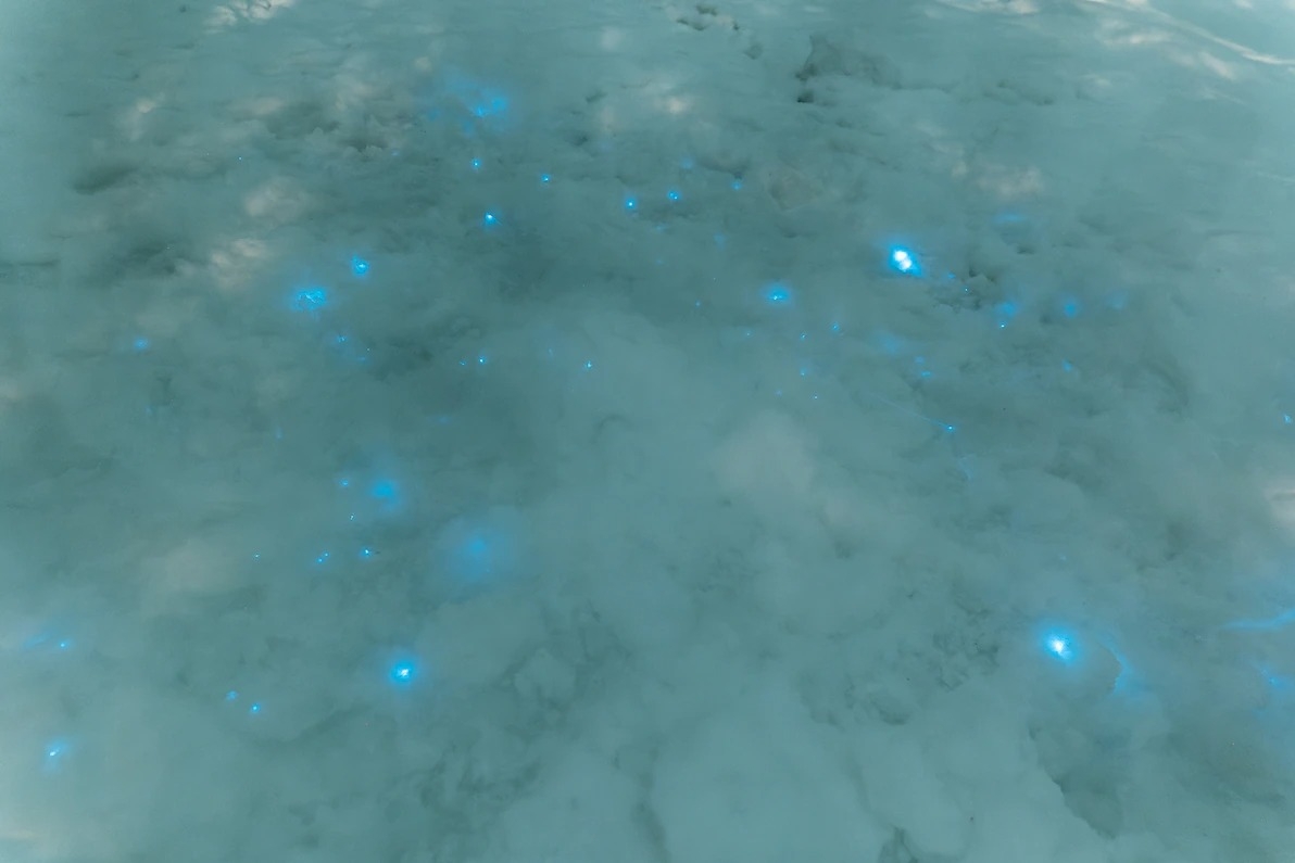 оԱڶ˹Ȧİ׺﹤վѩĺ෢⣬ǸĵһĿ¼ PHOTOGRAPH BY ALEXANDER