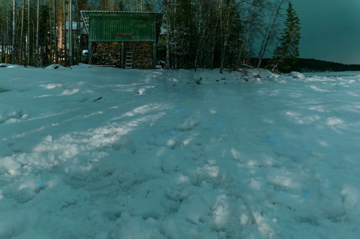 ѧҵĲŶЩϰĸʱǾͿʼ⡣ PHOTOGRAPH BY ALEXANDER SEMENOV / WHITE SEA BIOL