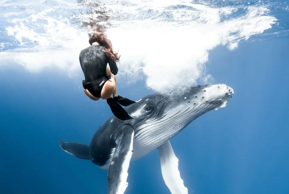 ȥ�������������ǵĴ�Ϫ�ظ�Ǳ������ͷ��������ײ