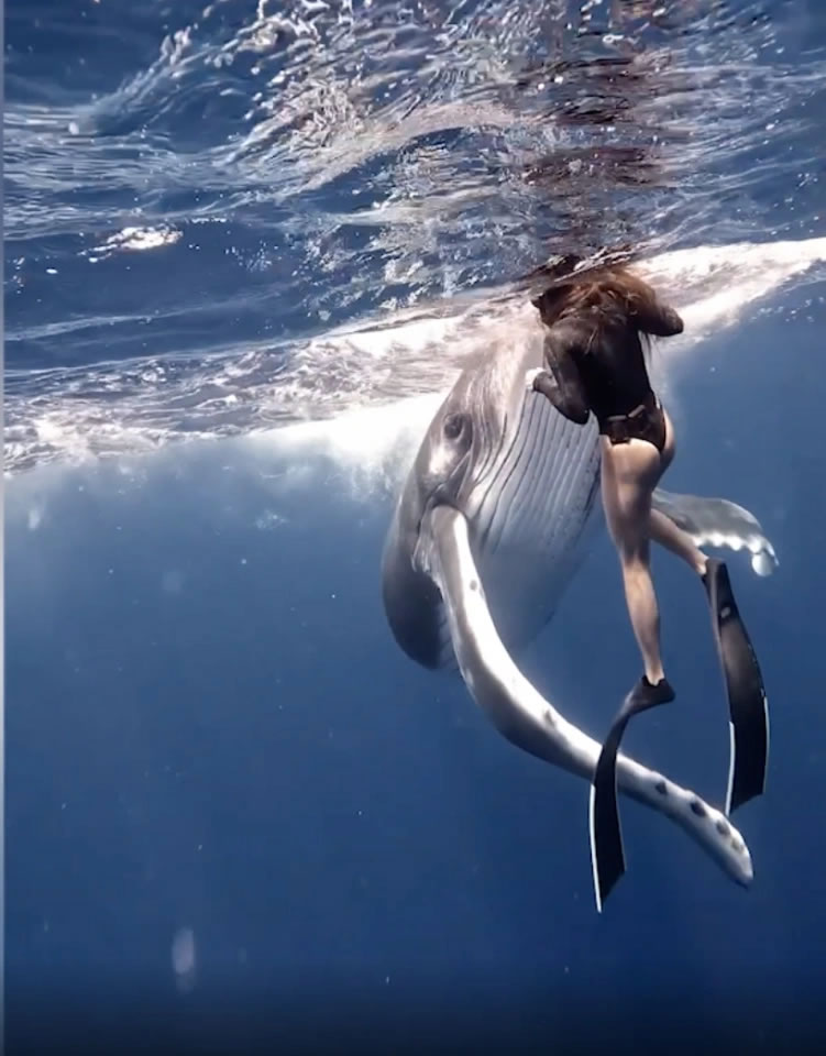 ȥ�������������ǵĴ�Ϫ�ظ�Ǳ������ͷ��������ײ