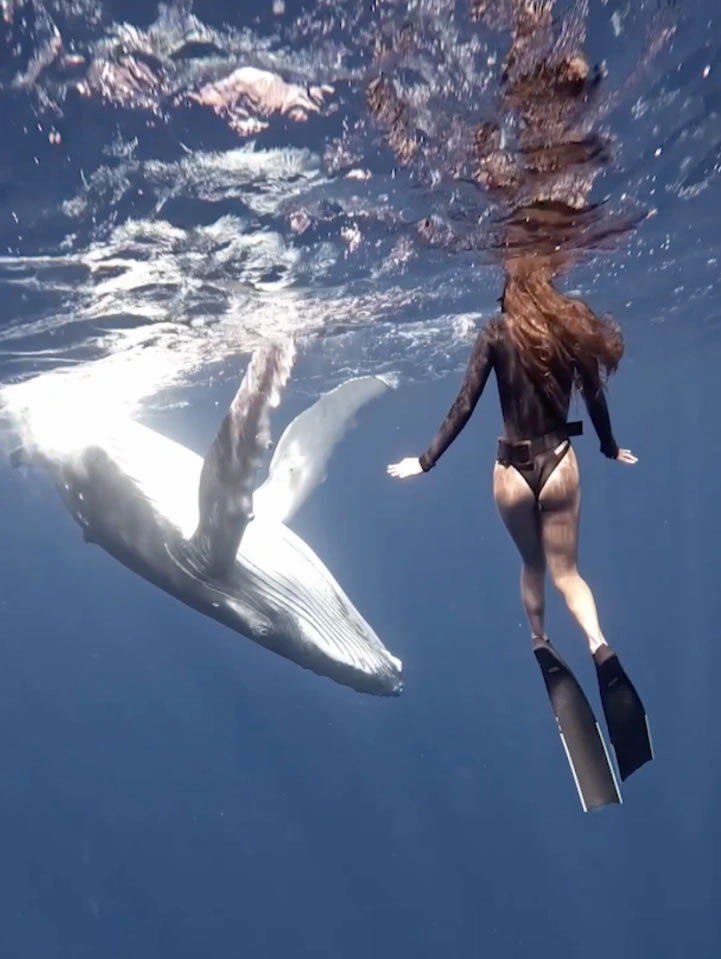 ȥ�������������ǵĴ�Ϫ�ظ�Ǳ������ͷ��������ײ