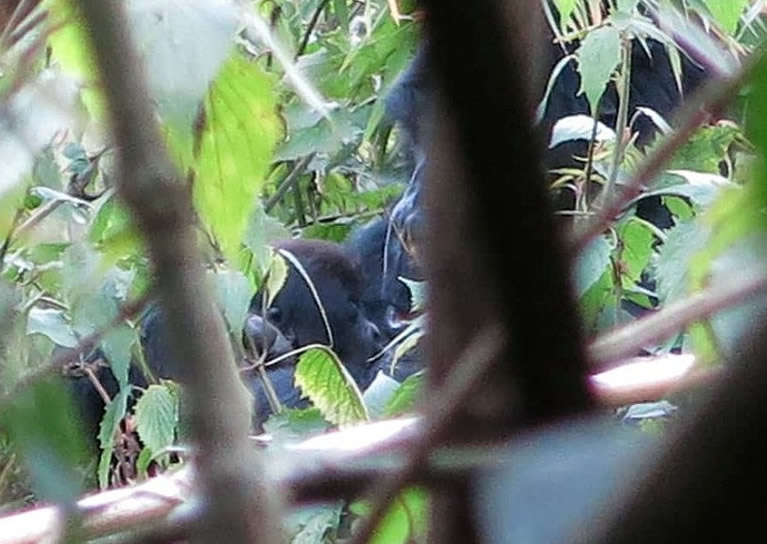 չ͹άӹҹ԰ȱΣ͵شɵ ɱ