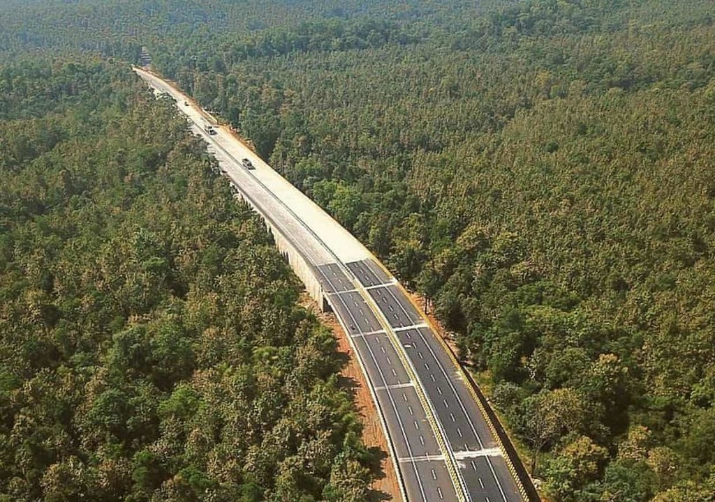 44号国道上有印度第一个专为野生动物打造的地下通道。图片来源:Wildlife Institute of India