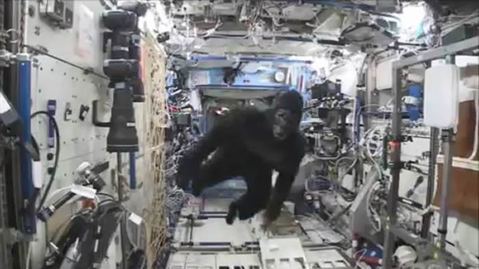 《猩球崛起》：国际空间站惊现“大猩猩”从袋子中苏醒挣脱狂追宇航员