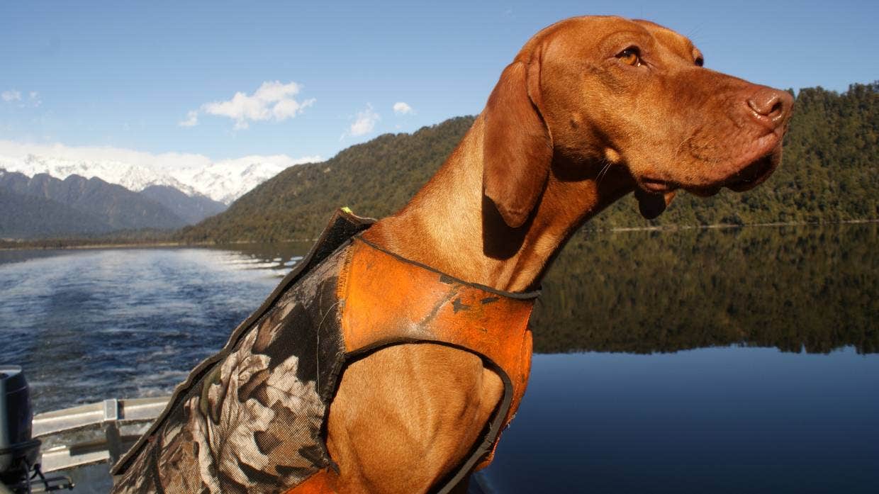 ��������������ȮRein��11�����Ԯ1700ֻ��Σ������ �����������ɳ��˯��