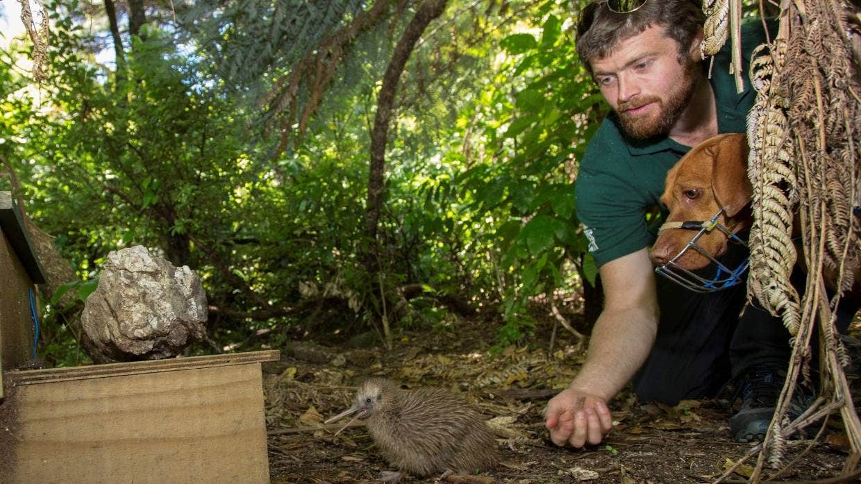 ��������������ȮRein��11�����Ԯ1700ֻ��Σ������ �����������ɳ��˯��