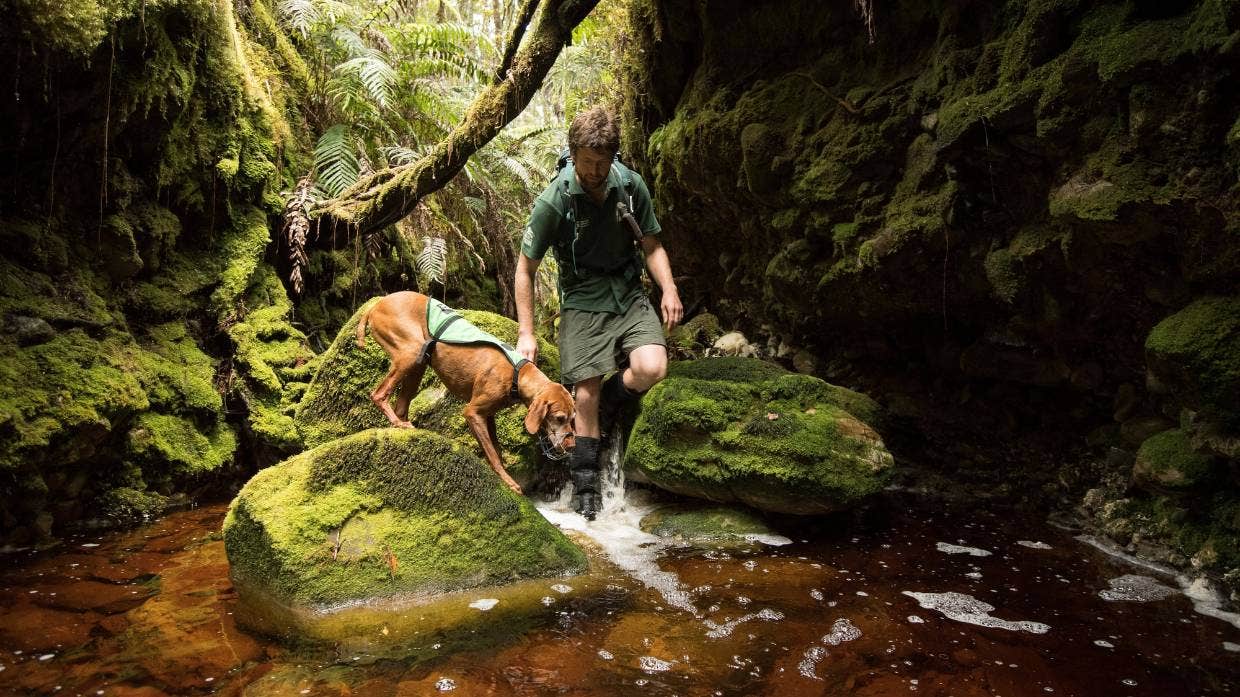 ��������������ȮRein��11�����Ԯ1700ֻ��Σ������ �����������ɳ��˯��