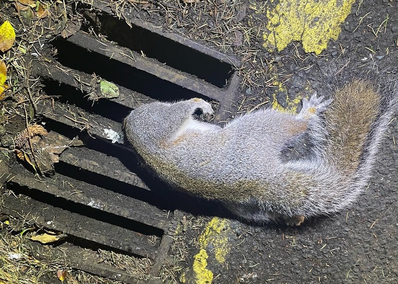 ӢӢֿϿķ˹ͷˮ Ա˽