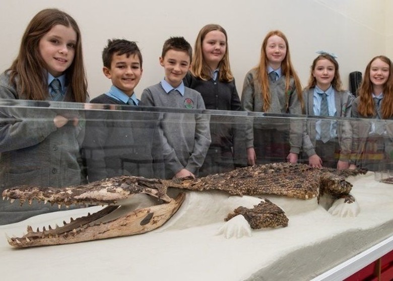 Ӣ˹ʴ￨Сѧҵذ³120ʷź