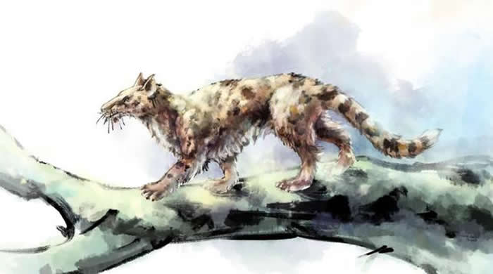 СèԭͼпԺϾʹо̷ 