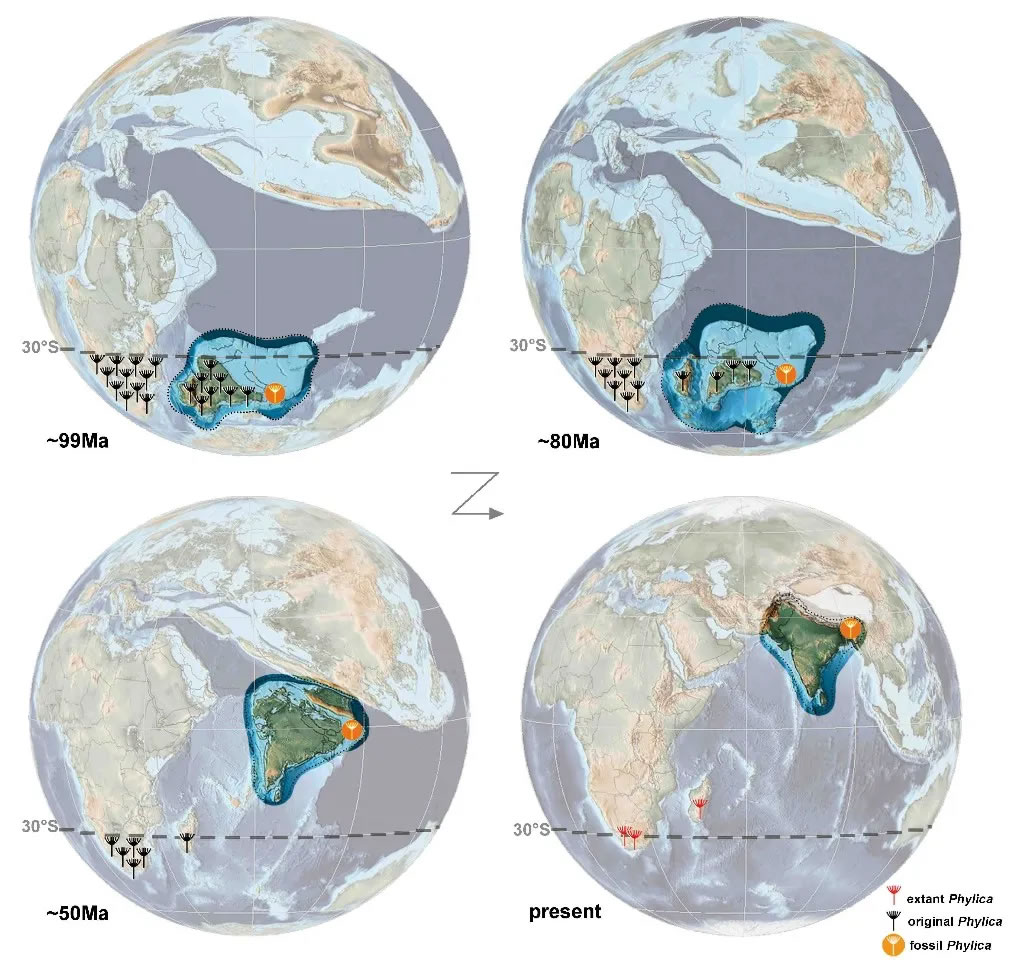 PhylicaӡȰƯƵĹؽͼൺƼѧͼ
