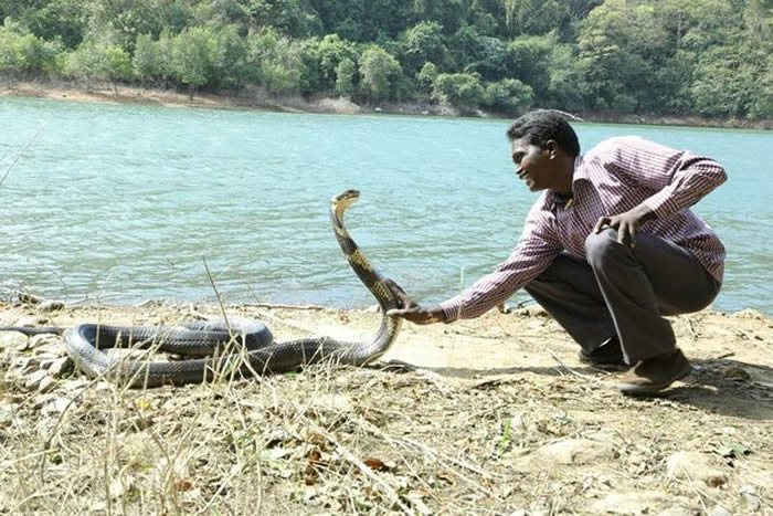 ӡȡ̸߽ʲVava Sureshץ۾ʱҧɥ