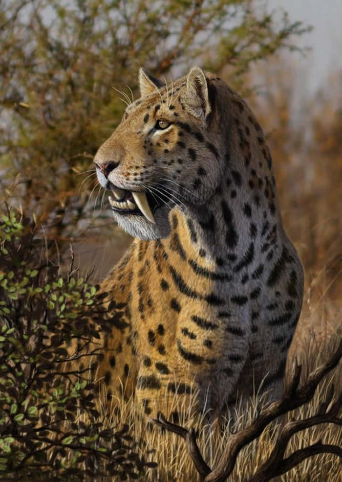 ڽݻǿƵĻؾ򤻢Megantereon whiteiMauricio Anton棩