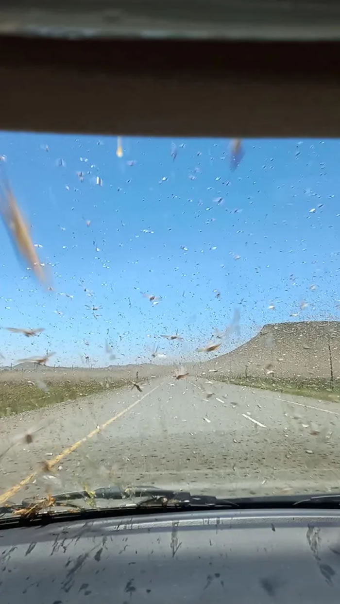 �Ϸ�Ů�Ӽݳ����������������Ϯ��