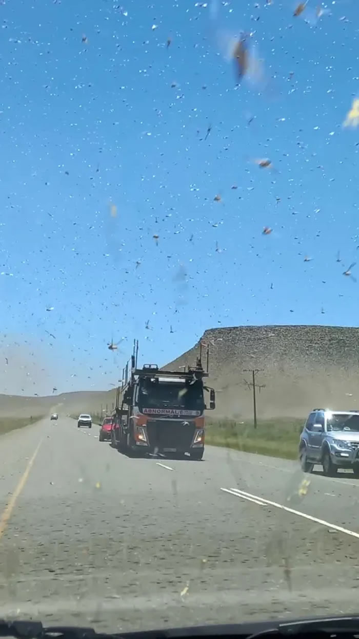 �Ϸ�Ů�Ӽݳ����������������Ϯ��