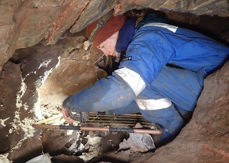 英国德文郡洞穴出土冰河时期长毛象牙、狼骨和犀牛骨等多种化石