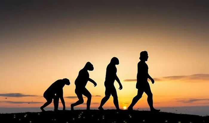 �з��������ƣ���¼��Ӱ�������ˣ������������ܡ�����