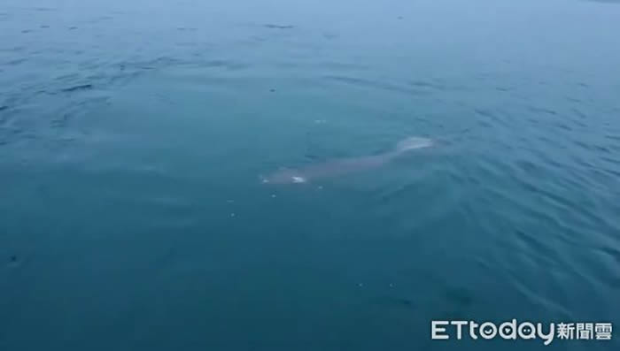 ̶̨Ŀ2.5׳޴ˮ֡ רƲ